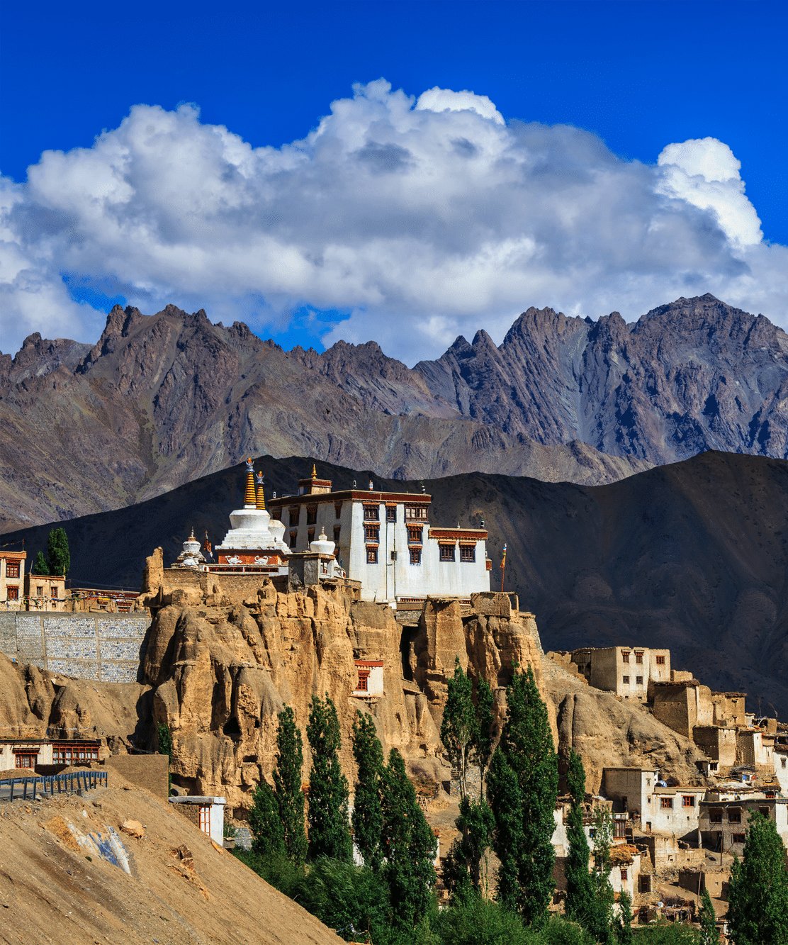 Ladakh-Yoga-Colife
