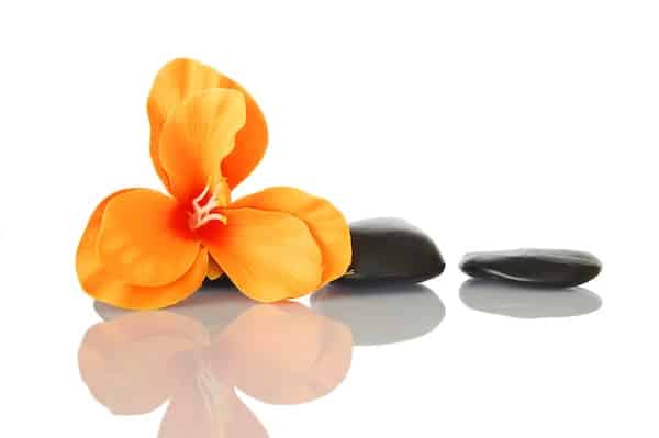 Formation Yoga Pilates à Genève