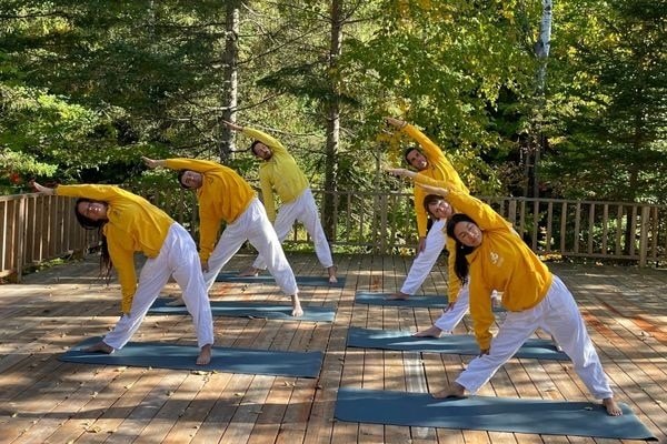 Cours classique de yoga sivananda dans la nature